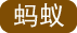 蚁网首页